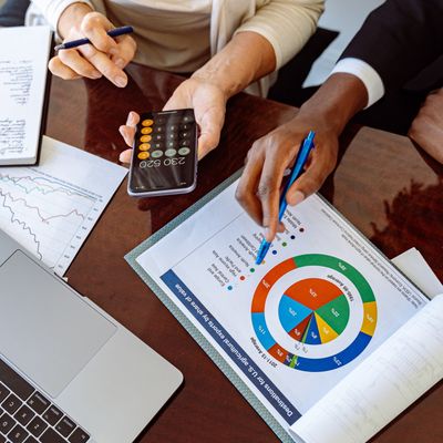 Open Project Management: Budget and Resources